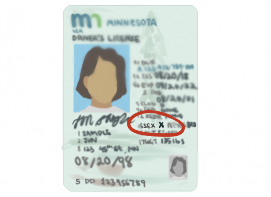 Minnesota+introduces+new+non-binary+option+on+licenses