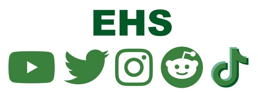 Online teen stars influence Edina High School sophomores