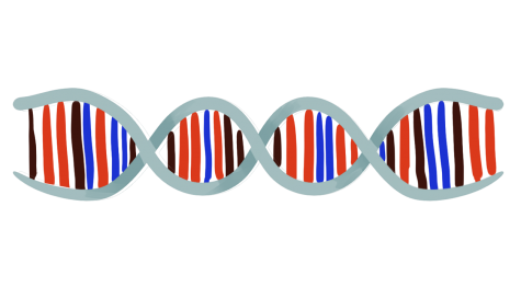 Genetically modifying humans: is it ethical?