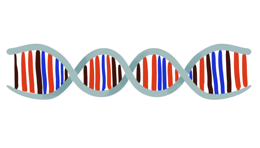 Genetically modifying humans: is it ethical?