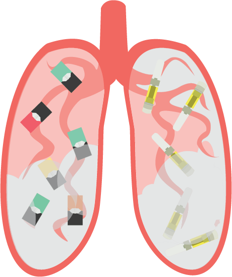 lungs final art