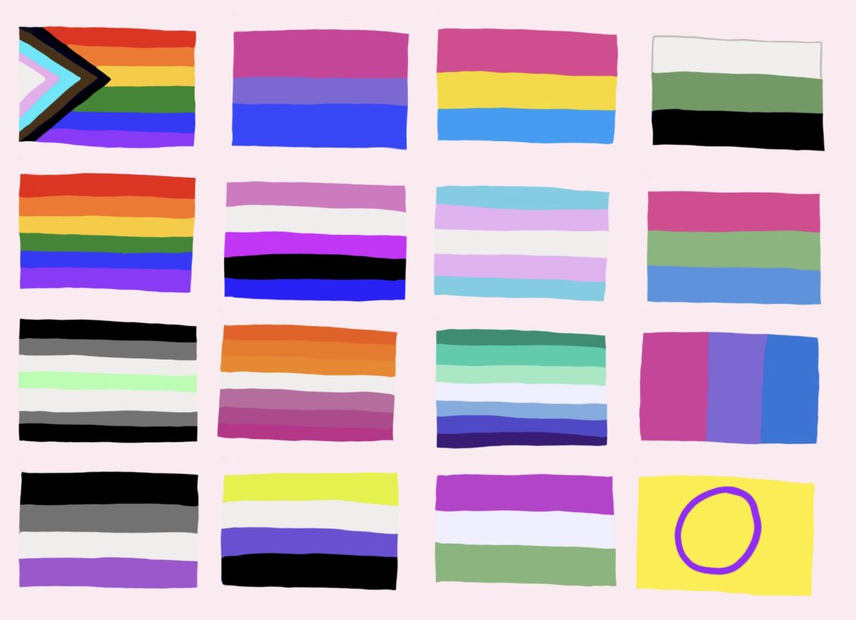 16 different LGBTQ+ flags