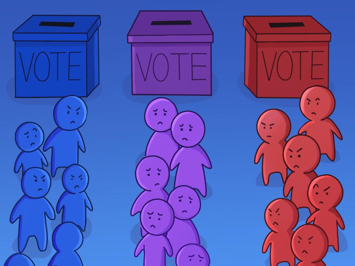 Illustration of three lines of voters, purple representing third party voters.