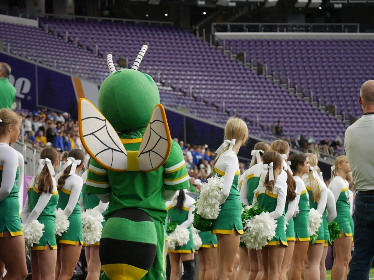 Edina cheerleaders and the Hornet mascot watch the game.