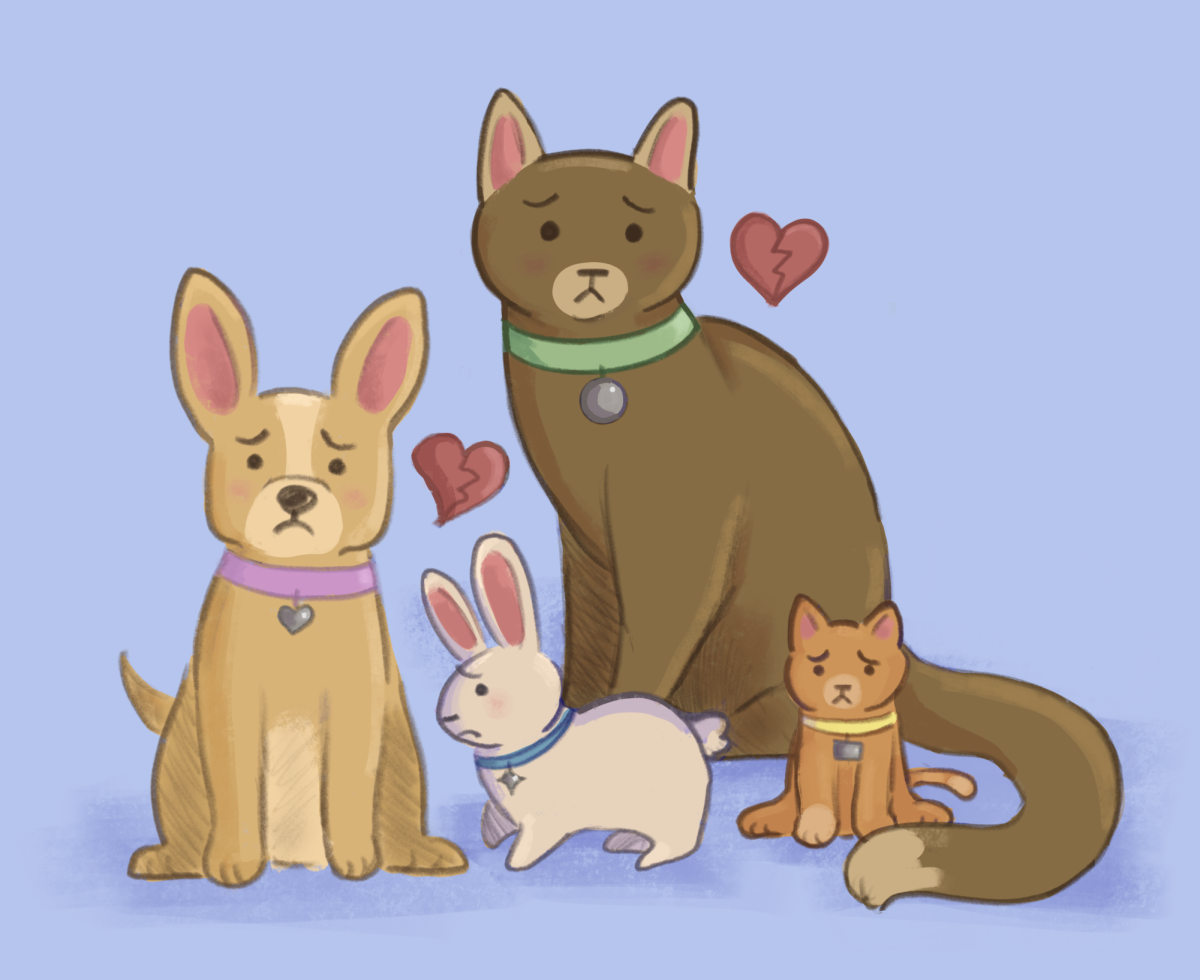 Many pets are impacted by ICE deportations. 
